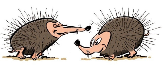 Igel